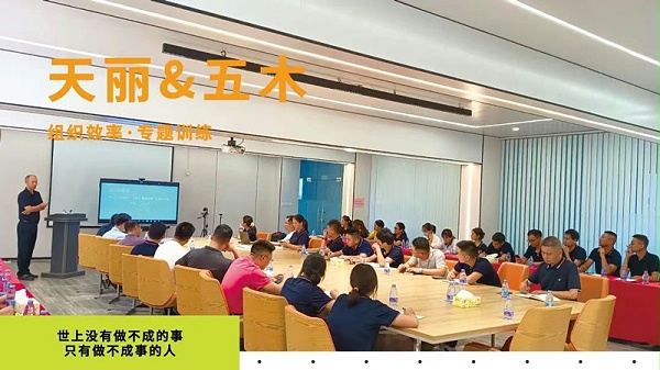 Tianli enhances the organizational efficiency of enterprises Achieve high-quality development through continuous improvement!