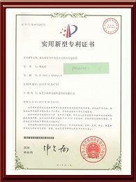 Patent Certificate for Tianli - Continuous Packaging Tube for Food Preservation Ingredients