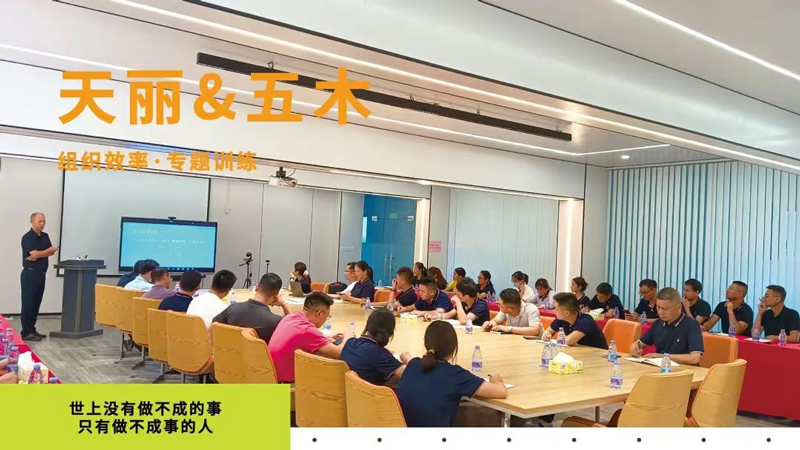 Tianli enhances the organizational efficiency of enterprises Achieve high-quality development through continuous improvement!