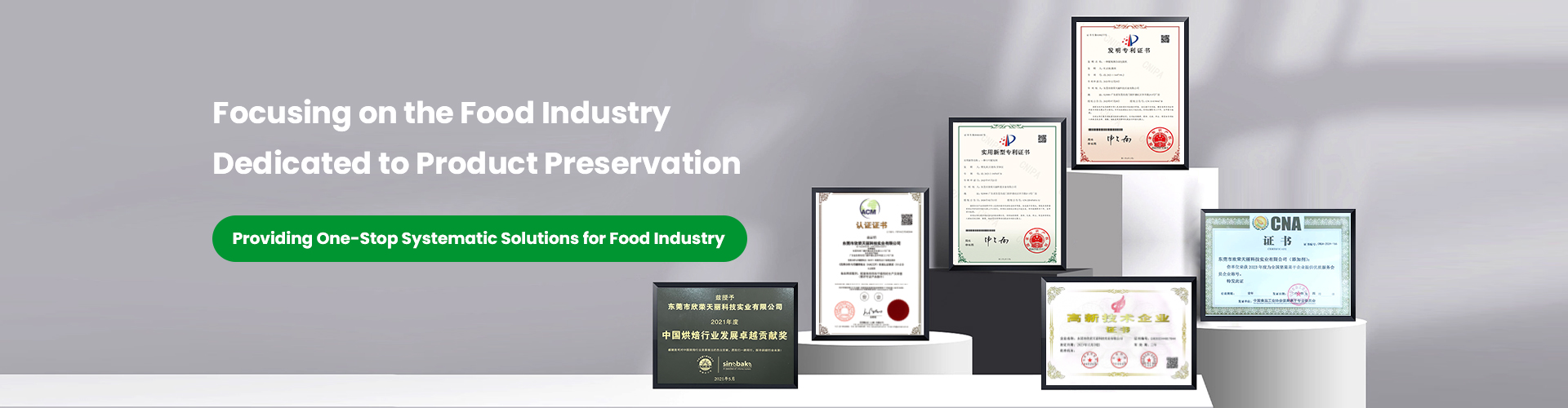 Focusing on the Food Industry Dedicated to Product Preservation